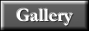 Italian photographers Gallery